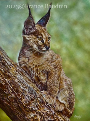Sentry Watch -  73 hours 
Brown Pastelmat Board
19" x 14"
Highly Commended
King Lear Prizes 2023